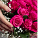 Рожеві троянди з гіпсофілою - троянди преміум класу